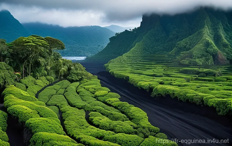 적도 기니의 해변과 추천 여행 코스 - **Prompt 1: Serene Coastal Paradise of Arena Blanca**
    "An aerial, slightly elevated view capturi...